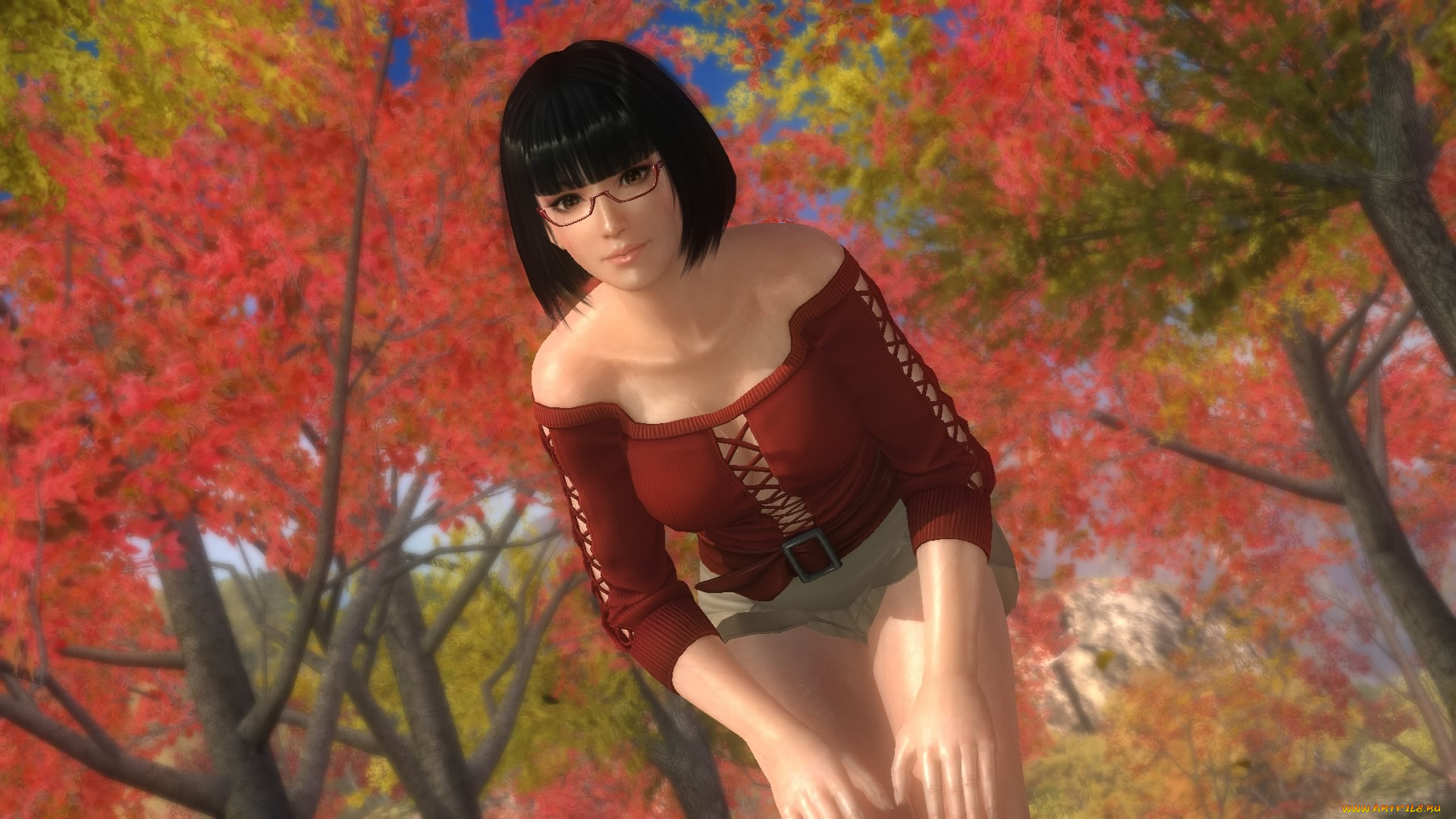  , dead or alive 5, , , 